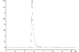 The purity of Human GARP(Y137H)&Latent TGF Beta Complex is greater than 95 % as determined by SEC-HPLC.