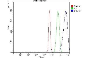 Flow Cytometry analysis of A431 cells using anti-ZNF318 antibody (ABIN7602294).