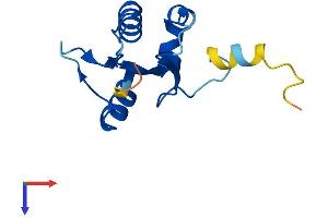 AlphaFold protein structure predicition of Human Recombinant ATP6V1F Protein, UniprotID Q16864