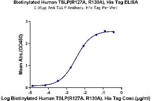 Thymic Stromal Lymphopoietin Protein (TSLP) (Arg127Ala-Mutant, Arg130Ala-Mutant) (His-Avi Tag,Biotin)