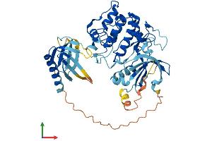 AlphaFold protein structure predicition of Human Recombinant AKT2 Protein, UniprotID P31751