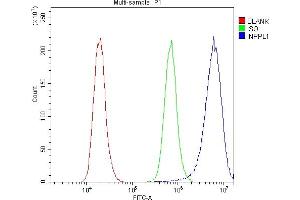 Flow Cytometry analysis of A431 cells using anti-INPPL1 antibody (ABIN6719492).