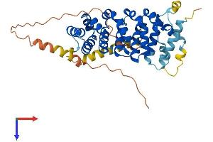 AlphaFold protein structure predicition of Mouse Recombinant Armcx3 Protein, UniprotID Q8BHS6