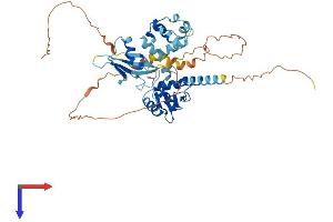 AlphaFold protein structure predicition of Mouse Recombinant Gabpa Protein, UniprotID Q00422