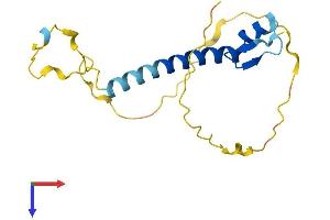 AlphaFold protein structure predicition of Mouse Recombinant Snrpc Protein, UniprotID Q62241