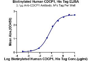 Immobilized Anti-CDCP1 Antibody, hFc Tag at 1 μg/mL (100 μL/Well) on the plate. (CDCP1 Protein (AA 30-666) (His-Avi Tag,Biotin))