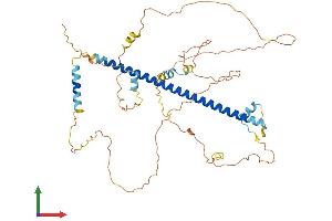 AlphaFold protein structure predicition of Mouse Recombinant Creb3l3 Protein, UniprotID Q91XE9