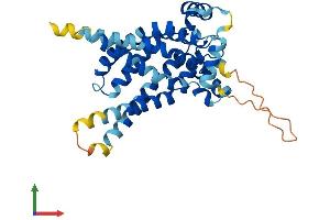 AlphaFold protein structure predicition of Human Recombinant SLC25A33 Protein, UniprotID Q9BSK2