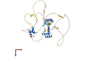 AlphaFold protein structure predicition of Mouse Recombinant Pax7 Protein, UniprotID P47239