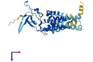 AlphaFold protein structure predicition of Mouse Recombinant Jkamp Protein, UniprotID Q8BI36