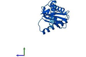 AlphaFold protein structure predicition of Mouse Recombinant Ap1s3 Protein, UniprotID Q7TN05