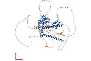 AlphaFold protein structure predicition of Mouse Recombinant Daxx Protein, UniprotID O35613