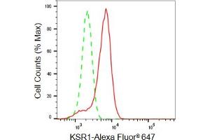 Flow cytometric analysis of KSR1 expression in HeLa cells using KSR1 antibody(ABIN7799197), 1:2,000).