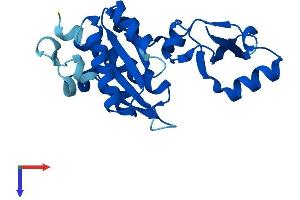 AlphaFold protein structure predicition of Human Recombinant POLR2E Protein, UniprotID P19388