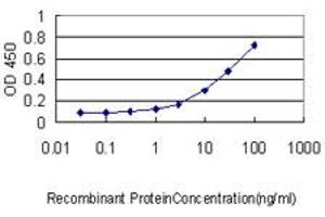 Detection limit for recombinant GST tagged ISGF3G is approximately 0. (IRF9 anticorps  (AA 1-393))
