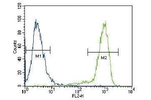 TrkA antibody flow cytometric analysis of HeLa cells (green) compared to a negative control (blue).