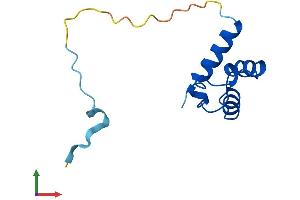 AlphaFold protein structure predicition of Mouse Recombinant Pold4 Protein, UniprotID Q9CWP8