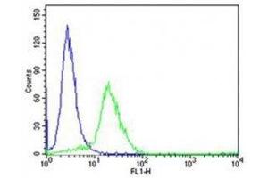 Flow cytometric analysis of HeLa cells using EZH2 antibody (green) compared to an isotype control of rabbit IgG (blue).