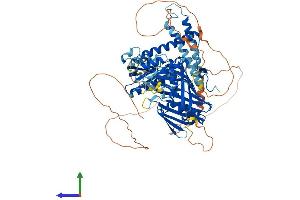 AlphaFold protein structure predicition of Mouse Recombinant Osbpl10 Protein, UniprotID S4R1M9