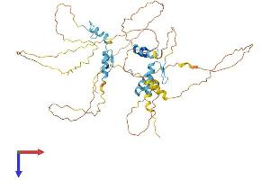 AlphaFold protein structure predicition of Mouse Recombinant Insm2 Protein, UniprotID Q9JMC2