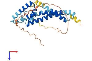 AlphaFold protein structure predicition of Human Recombinant TMEM65 Protein, UniprotID Q6PI78