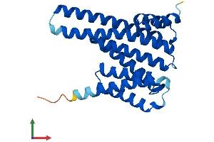 AlphaFold protein structure predicition of Mouse Recombinant Ywhag Protein, UniprotID P61982