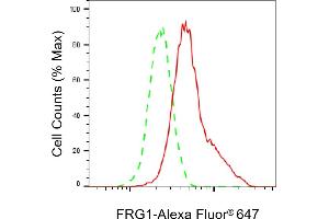 Flow cytometric analysis of FRG1 expression in HeLa cells using FRG1 antibody (ABIN7798662), 1:2,000). (Recombinant FRG1 anticorps)