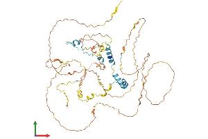 AlphaFold protein structure predicition of Mouse Recombinant Bora Protein, UniprotID Q8BS90