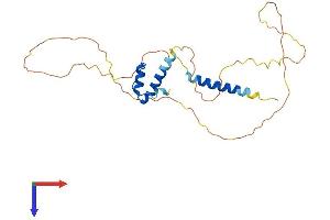 AlphaFold protein structure predicition of Human Recombinant EMD Protein, UniprotID P50402