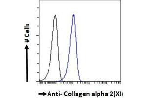 ABIN185560 Flow cytometric analysis of paraformaldehyde fixed A431 cells (blue line), permeabilized with 0.