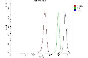 Flow Cytometry analysis of MCF-7 cells using anti-TDG antibody (ABIN7600107).