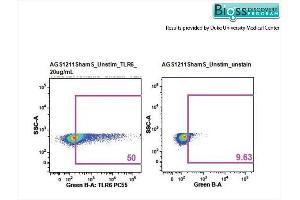 Rat splenocytes stained with Anti- TLR6/CD286 Polyclonal Antibody, PE-CY5.