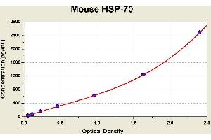 Diagramm of the ELISA kit to detect Mouse HSP-70with the optical density on the x-axis and the concentration on the y-axis. (HSP70 Kit ELISA)
