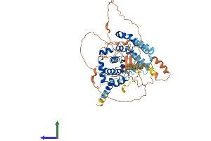 AlphaFold protein structure predicition of Human Recombinant TBC1D3I Protein, UniprotID A0A087WXS9