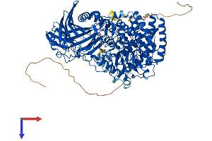 AlphaFold protein structure predicition of Human Recombinant GBA2 Protein, UniprotID Q9HCG7