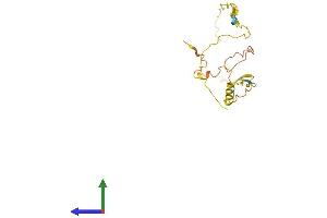 AlphaFold protein structure predicition of Human Recombinant MOBP Protein, UniprotID Q13875