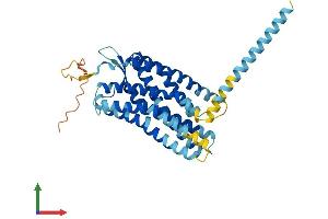 AlphaFold protein structure predicition of Human Recombinant ACKR3 Protein, UniprotID P25106