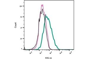Direct flow cytometry of MmTx1 in live intact human  cells expressing GABRB3.