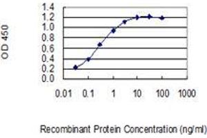 Detection limit for recombinant GST tagged AHRR is 0. (AHRR anticorps  (AA 617-715))