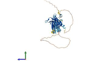 AlphaFold protein structure predicition of Mouse Recombinant Tarbp2 Protein, UniprotID P97473