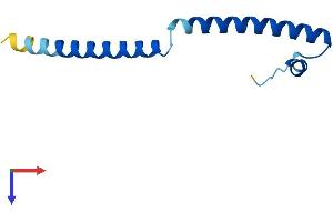 AlphaFold protein structure predicition of Mouse Recombinant Swi5 Protein, UniprotID Q8K3D3