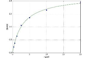 A typical standard curve (ALOX12 Kit ELISA)