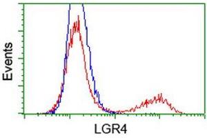 Flow Cytometry (FACS) image for anti-Leucine-Rich Repeat Containing G Protein-Coupled Receptor 4 (LGR4) (AA 230-540) antibody (ABIN1491240) (LGR4 anticorps  (AA 230-540))