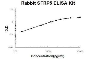 Rabbit SFRP5 PicoKine ELISA Kit standard curve (SFRP5 Kit ELISA)