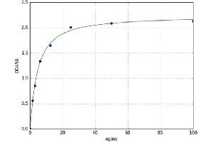 A typical standard curve (NMDA Antibody IgG Kit ELISA)