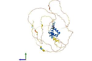 AlphaFold protein structure predicition of Mouse Recombinant Hoxd3 Protein, UniprotID P09027
