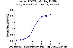 Immobilized Human FGF21 at 2 μg/mL (100 μL/Well) on the plate.