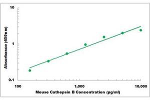 Representative Standard Curve (Cathepsin B Kit ELISA)