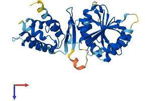 AlphaFold protein structure predicition of Human Recombinant FAM86B2 Protein, UniprotID P0C5J1