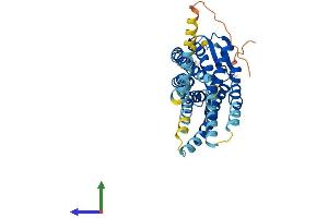 AlphaFold protein structure predicition of Mouse Recombinant Cxcr4 Protein, UniprotID P70658